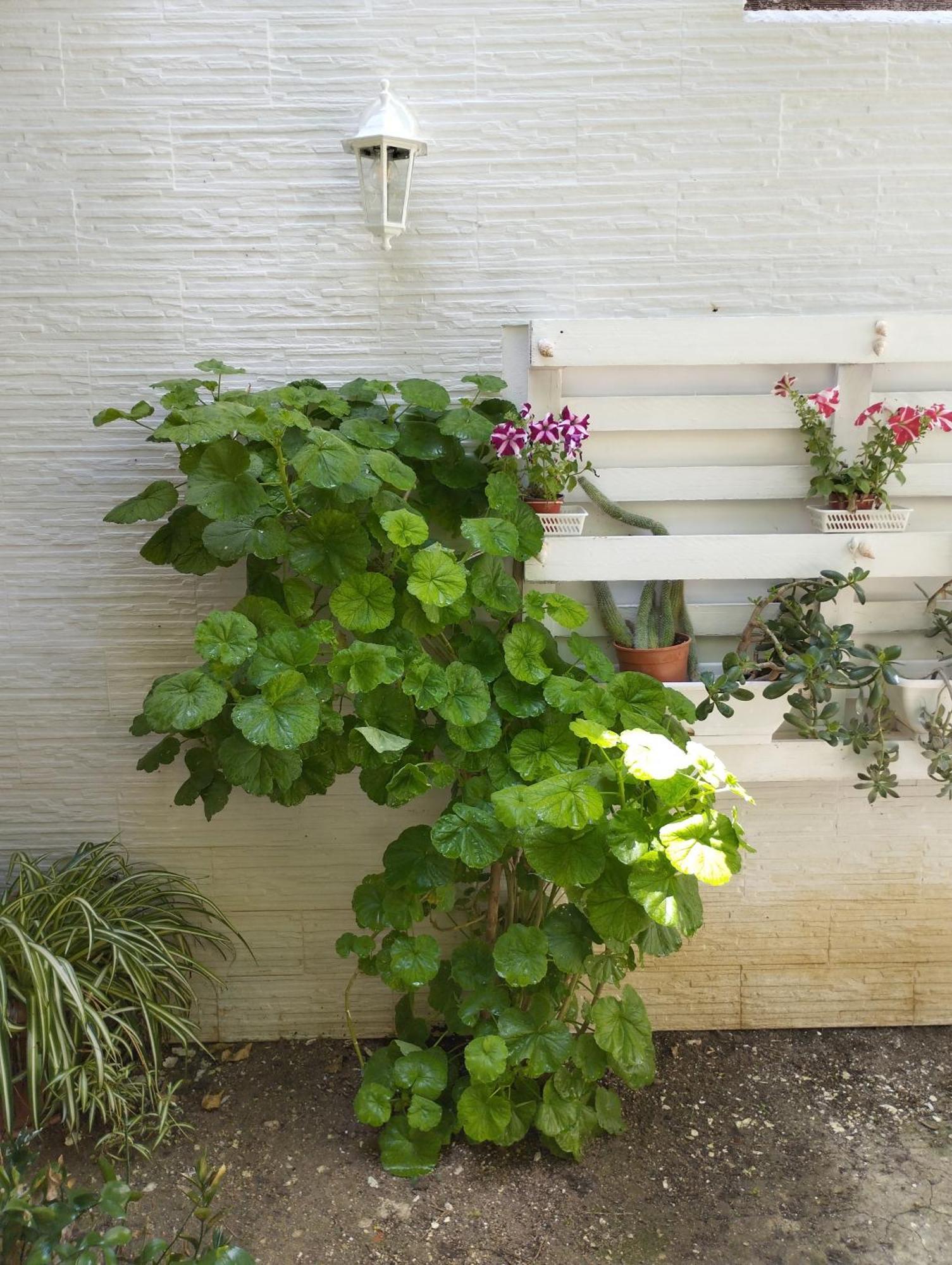 Casa Vacanze Nonna Lina - Trapani Exteriér fotografie
